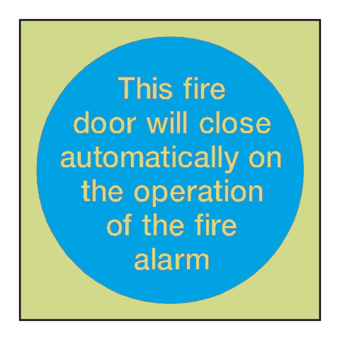 Auto Fire Alarm Photoluminescent Sign - PVC Safety Signs